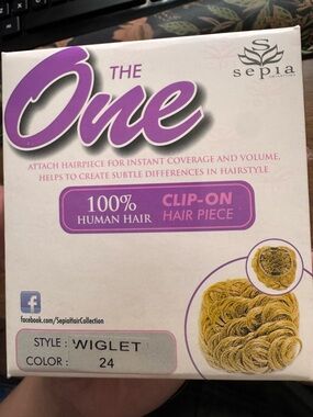 The One Clip-On Wiglet in Blonde (Color 24)